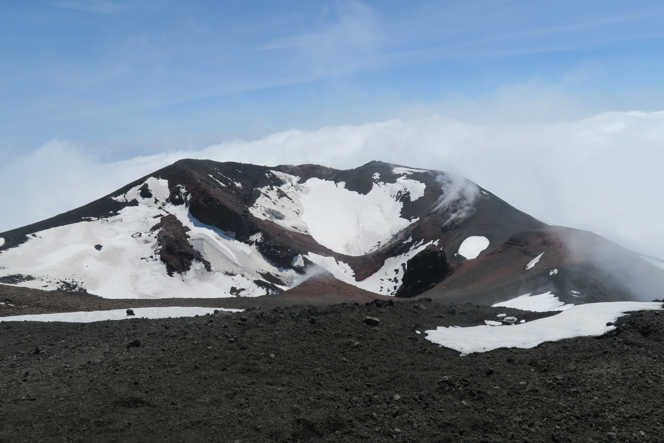IMG_4522 (2)