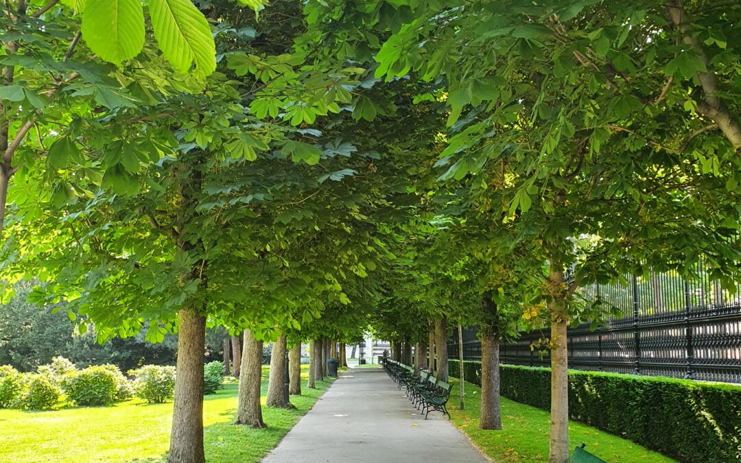 Womit wirst du heute anfangen?