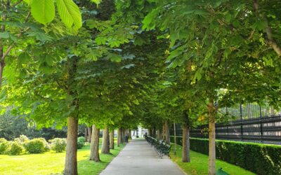 Womit wirst du heute anfangen?