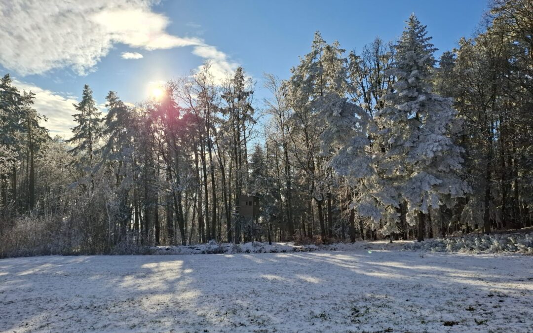 Der Wunsch nach dem guten Leben.