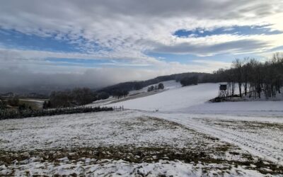 Äußere Stärke entsteht durch innere Ruhe.