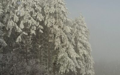 Wieviel im Leben ist Fassade?