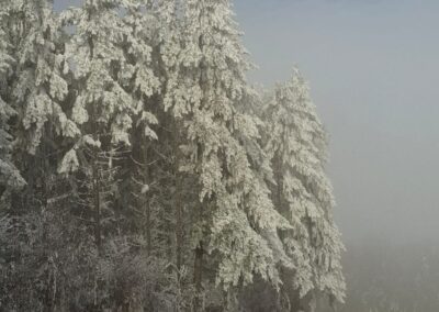 Unterschiedliche Länder, unterschiedliches Lebensmotto.