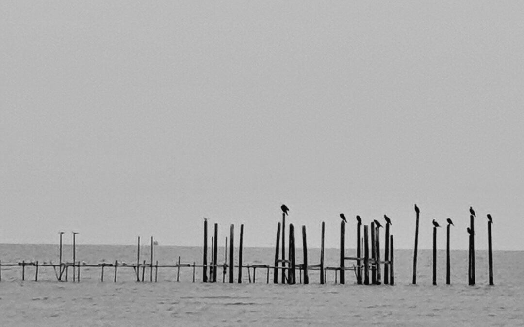 Stille der Seele.