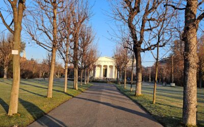 Lernen wir aus unseren Fehlern?