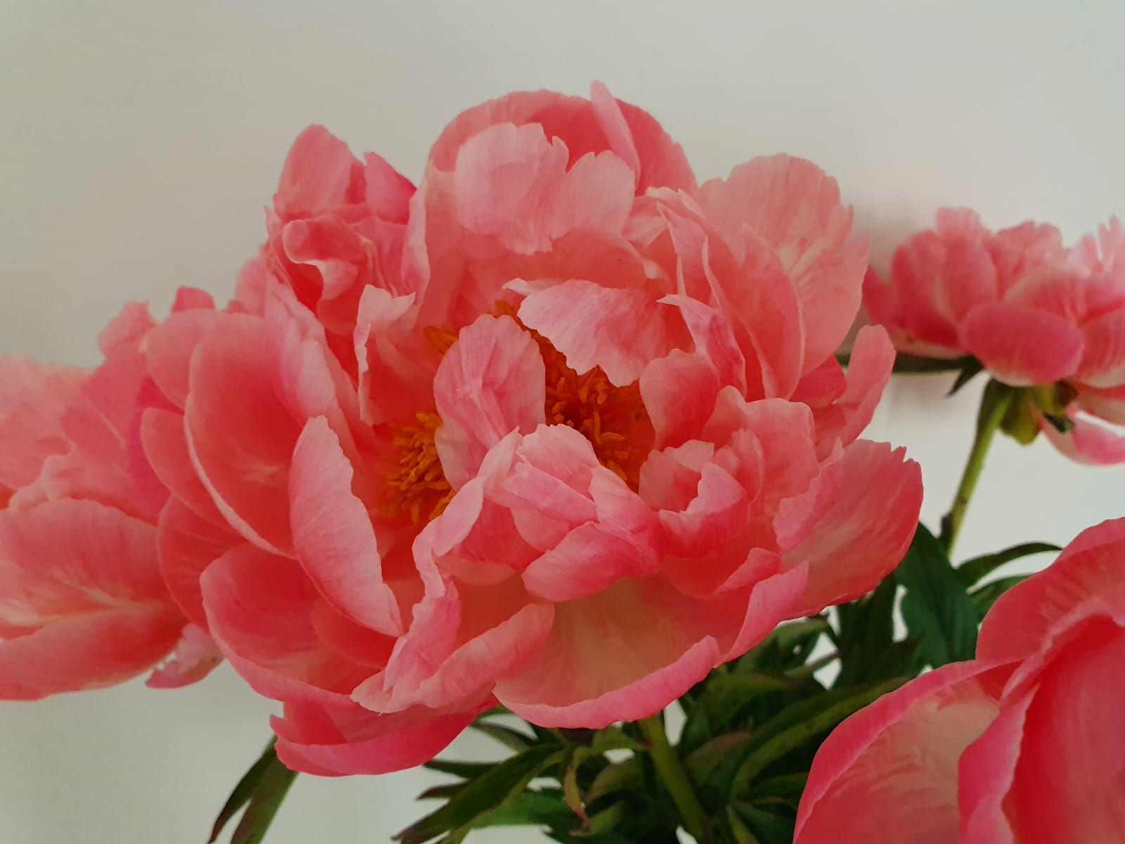 IMG-20241017-WA0000