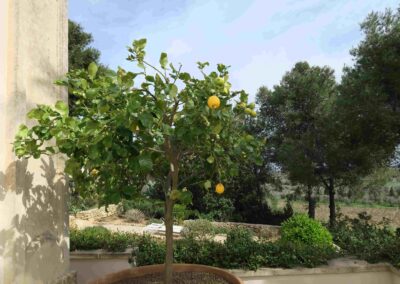 Empathie und Impathie.